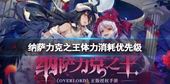 纳萨力克之王体力该如何消耗？