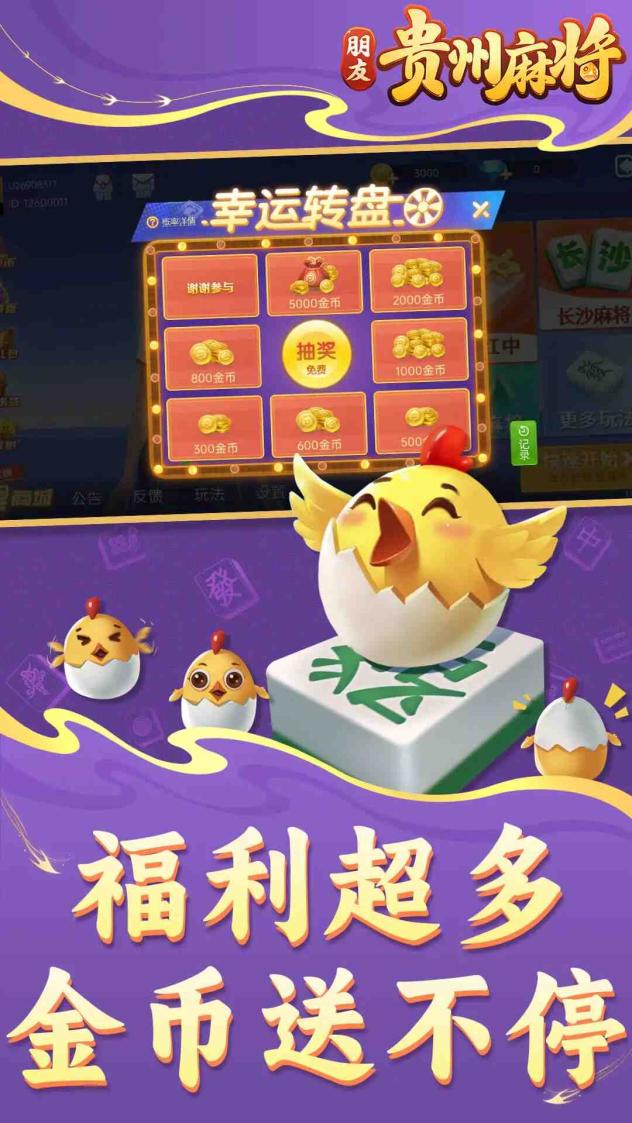 朋友贵州麻将截图5