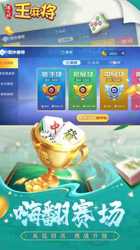 随便玩王麻将截图3